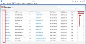 Mass convert leads selection