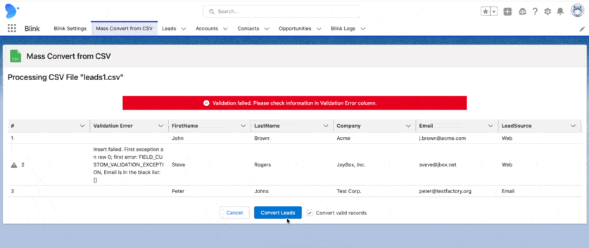 How Blink convert leads from the CSV file